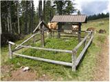 Ljubno ob Savinji - Planina Mali Travnik